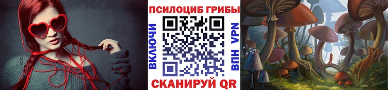 наркота Острогожск Псилоцибиновые грибы прущие грибы